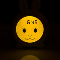 Dream Time with Riley the Sleep Trainer