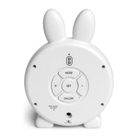 Dream Time with Riley the Sleep Trainer