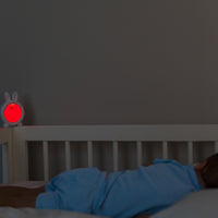 DREAM TIME WITH RILEY SLEEP TRAINER