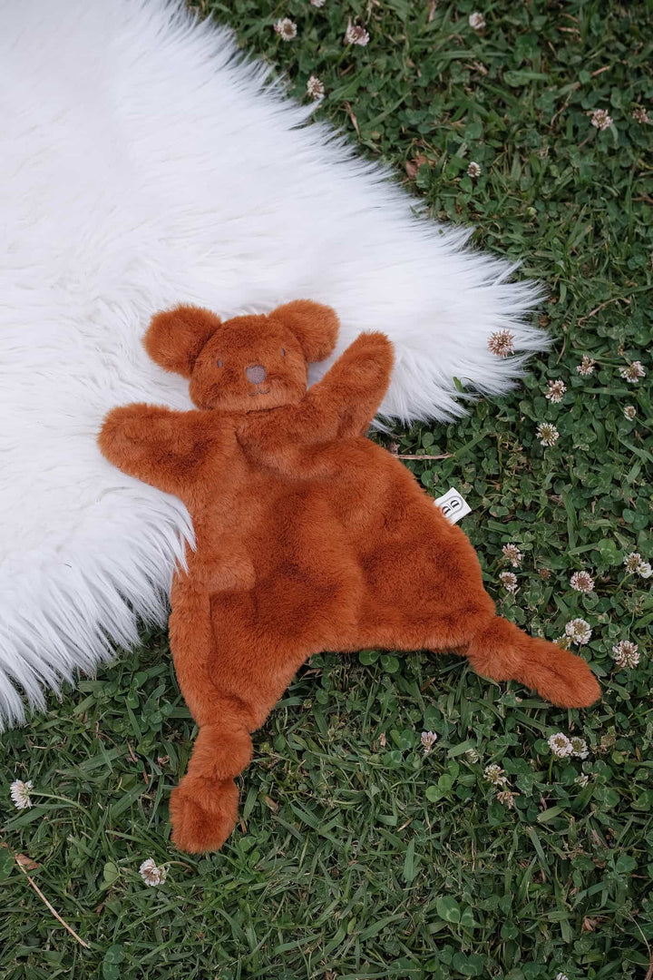 Dreamy days brown bear comforter on grass